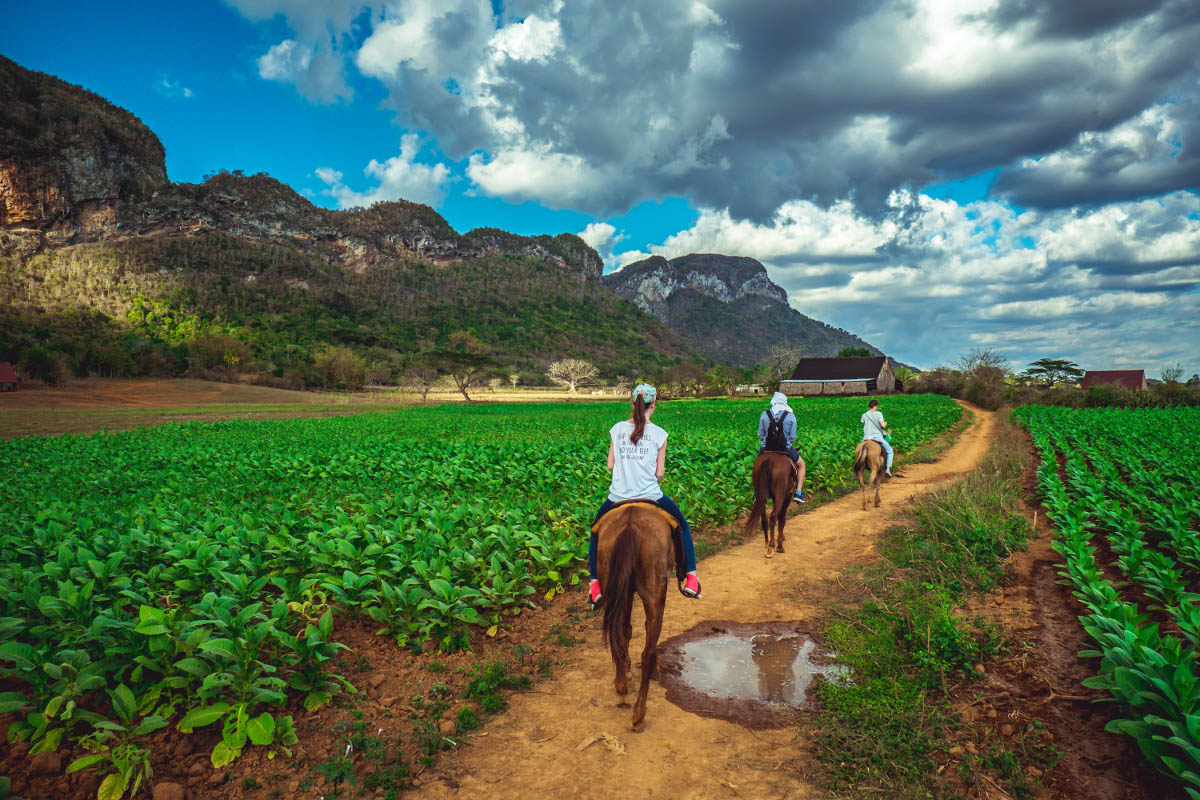 What to do on a day trip to Viñales?